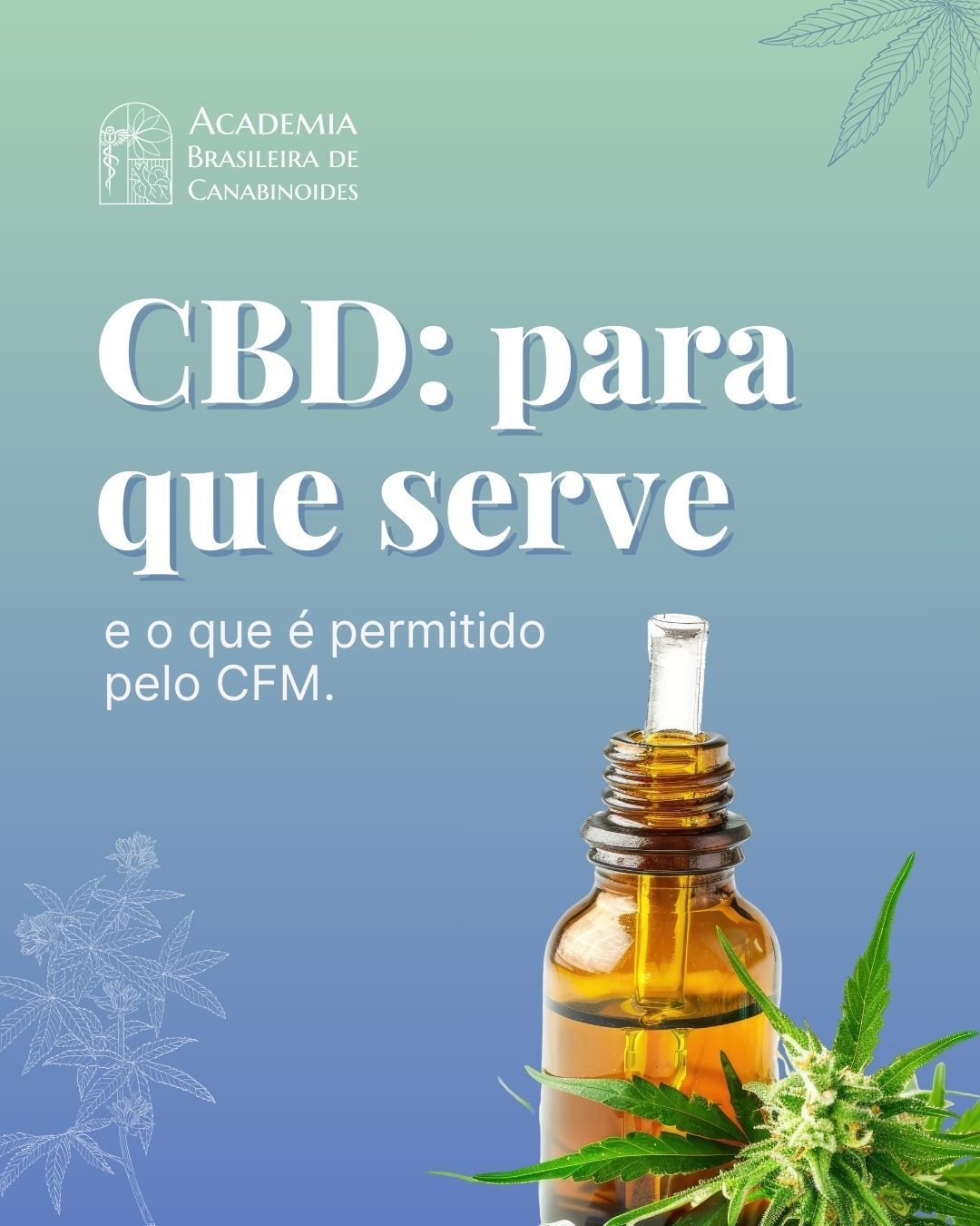 CBD Para Que Serve